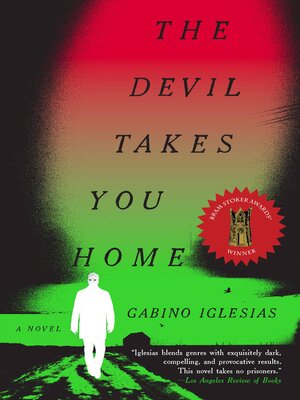 cover image of The Devil Takes You Home